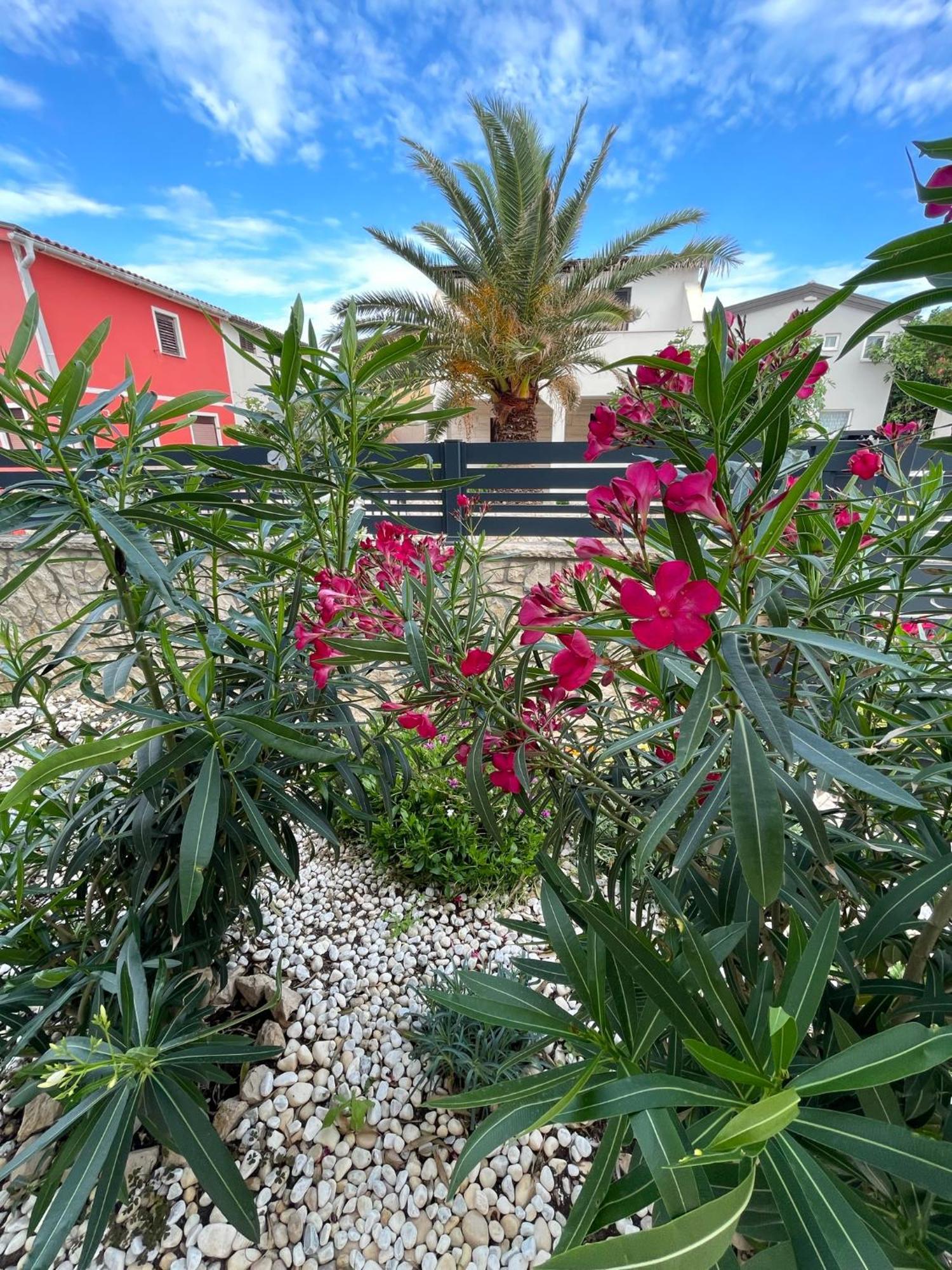 Apartmenthouse Ines فير المظهر الخارجي الصورة